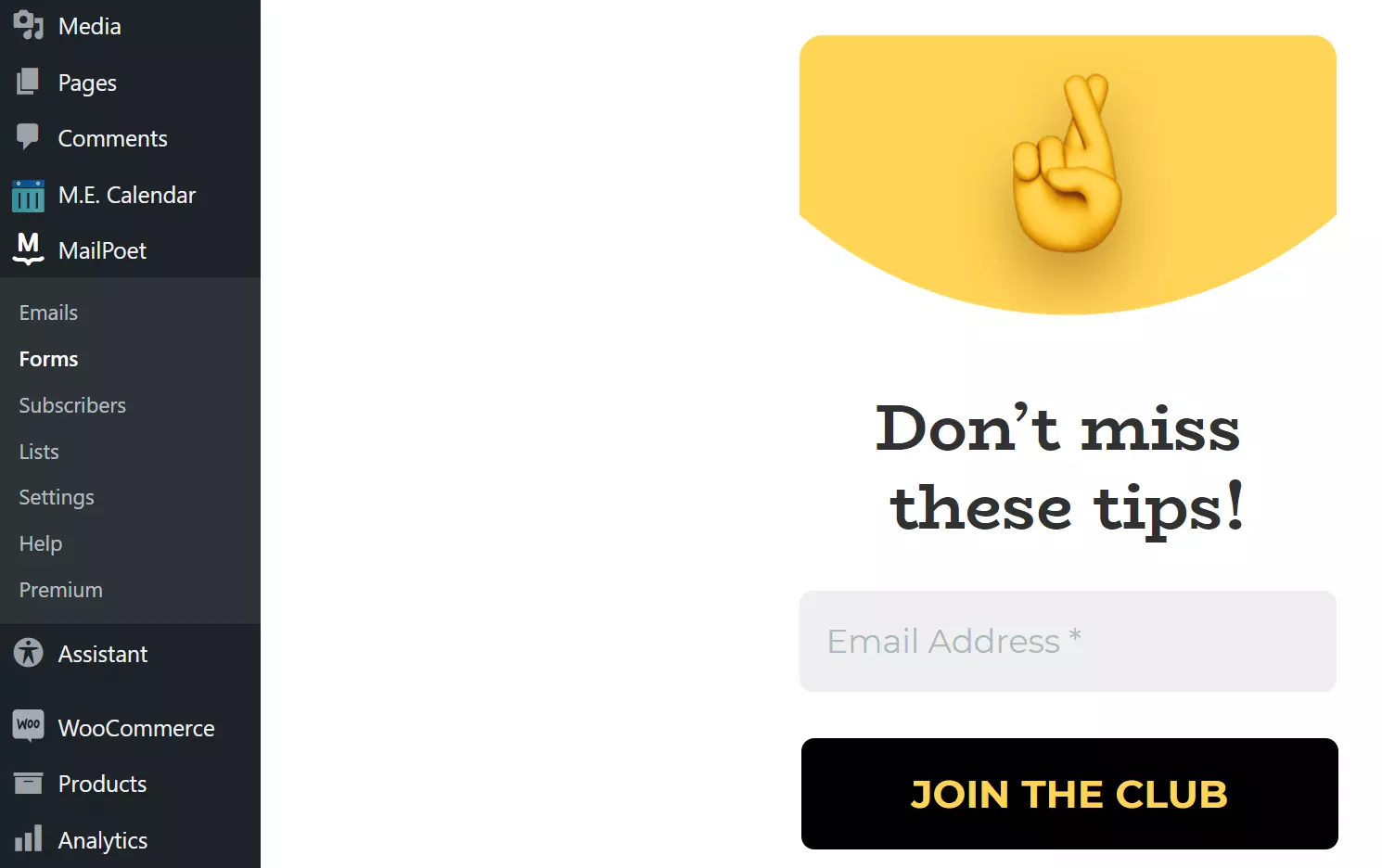 Imagen: Editor de newsletters de MailPoet en el backend de WordPress